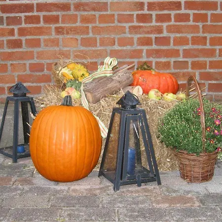 Ferienhof-wohler-wohnung-3