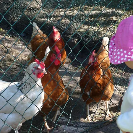 Apartament Ferienhof-wohler-wohnung-3 Bojendorf